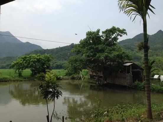 Linh Soi Homestay Майтяу Экстерьер фото